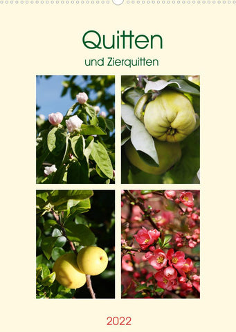 Quitten und Zierquitten (Wandkalender 2022 DIN A2 hoch)