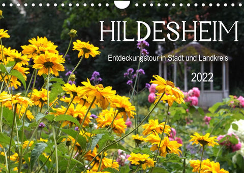 Hildesheim Entdeckungstour in Stadt und Landkreis (Wandkalender 2022 DIN A4 quer)