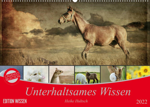 Unterhaltsames Wissen (Wandkalender 2022 DIN A2 quer)