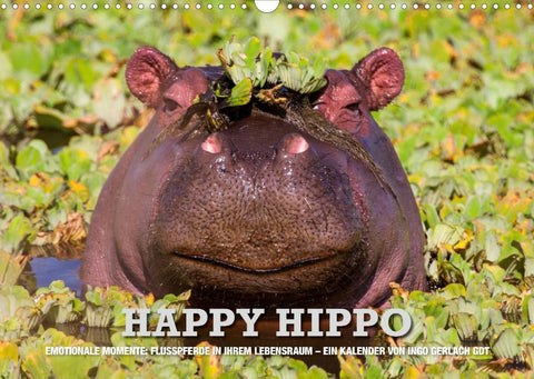 Emotionale Momente. Happy Hippo / CH-Version (Wandkalender 2022 DIN A3 quer)