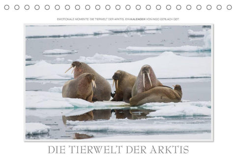 Emotionale Momente: Die Tierwelt der Arktis / CH-Version (Tischkalender 2022 DIN A5 quer)