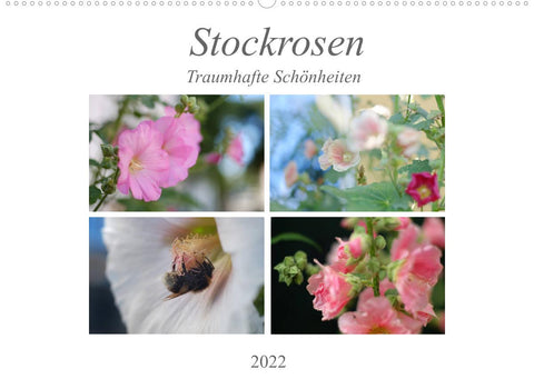 Stockrosen - Traumhafte Schönheiten (Wandkalender 2022 DIN A2 quer)