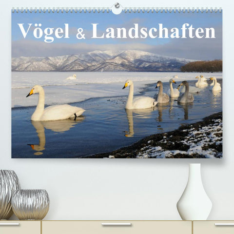 Vögel & Landschaften (Premium, hochwertiger DIN A2 Wandkalender 2022, Kunstdruck in Hochglanz)