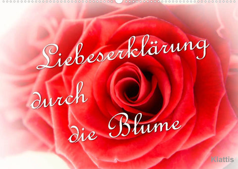 Liebeserklärung durch die Blume (Wandkalender 2022 DIN A2 quer)