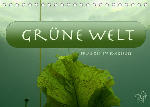 Baggersee - die grüne Welt (Tischkalender 2022 DIN A5 quer)