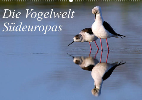 Die Vogelwelt Südeuropas (Wandkalender 2022 DIN A2 quer)