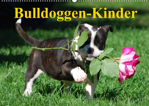 Bulldoggen-Kinder (Wandkalender 2022 DIN A2 quer)