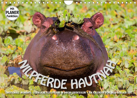 Emotionale Momente: Nilpferde hautnah (Wandkalender 2022 DIN A4 quer)