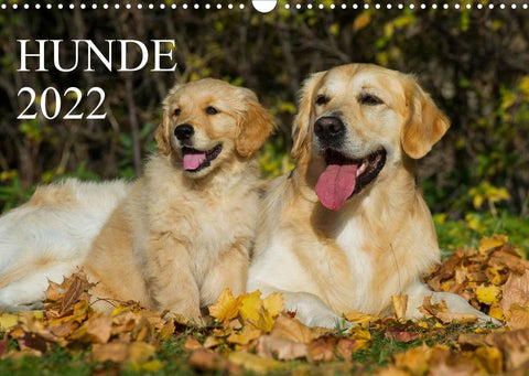 Hunde - Treue Freunde für´s Leben (Wandkalender 2022 DIN A3 quer)