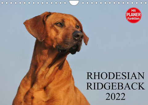 Rhodesian Ridgeback 2022 (Wandkalender 2022 DIN A4 quer)