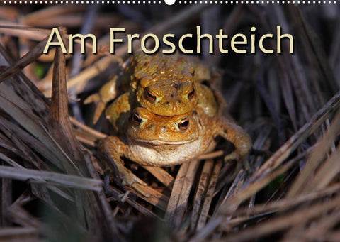 Am Froschteich (Wandkalender 2022 DIN A2 quer)