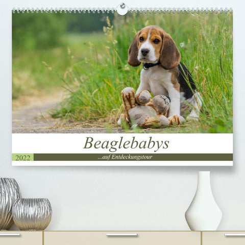 Beaglebabys auf Entdeckungstour (Premium, hochwertiger DIN A2 Wandkalender 2022, Kunstdruck in Hochglanz)