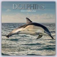 Dolphins - Delfine - Delphine 2023 - 16-Monatskalender