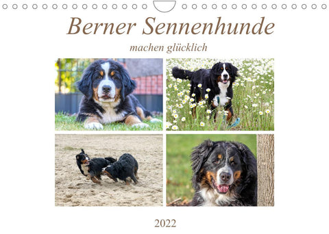 Berner Sennenhunde machen glücklich (Wandkalender 2022 DIN A4 quer)