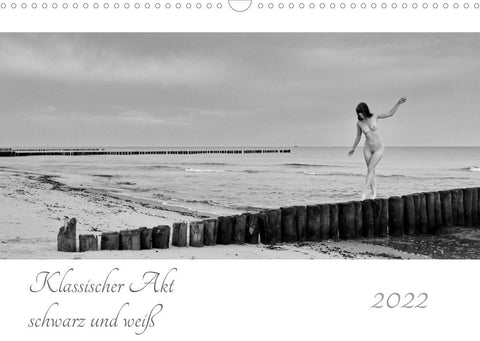 Klassischer Akt schwarz und weiß (Wandkalender 2022 DIN A3 quer)