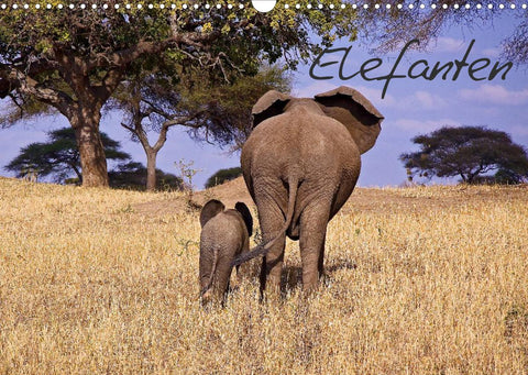 Elefanten (Wandkalender 2022 DIN A3 quer)