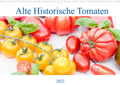 Alte Historische Tomaten (Wandkalender 2022 DIN A3 quer)
