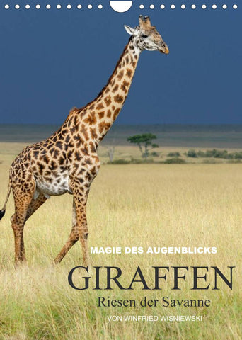 Magie des Augenblicks - Giraffen - Riesen der Savanne (Wandkalender 2022 DIN A4 hoch)