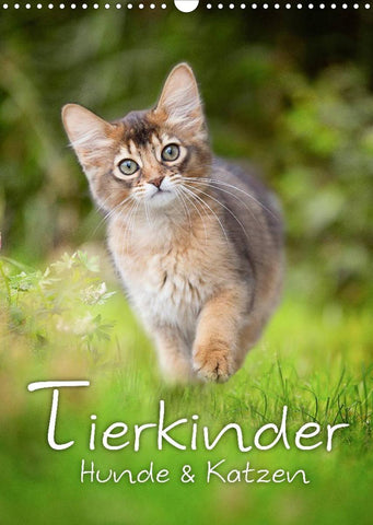 Tierkinder Hunde und Katzen (Wandkalender 2022 DIN A3 hoch)