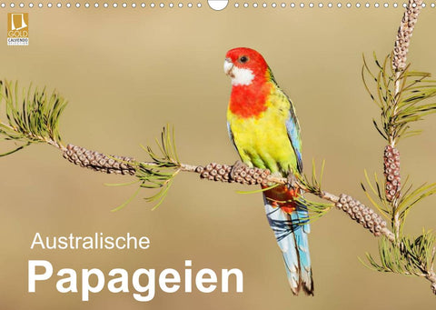 Australische Papageien (Wandkalender 2022 DIN A3 quer)