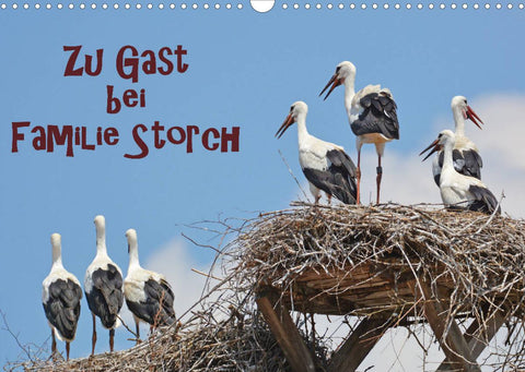 Zu Gast bei Familie Storch (Wandkalender 2022 DIN A3 quer)