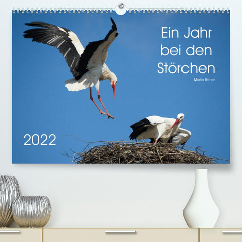 Ein Jahr bei den Störchen (Premium, hochwertiger DIN A2 Wandkalender 2022, Kunstdruck in Hochglanz)