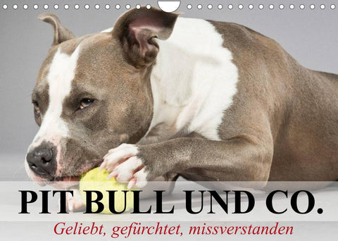 Pit Bull und Co. - Geliebt, gefürchtet, missverstanden (Wandkalender 2022 DIN A4 quer)