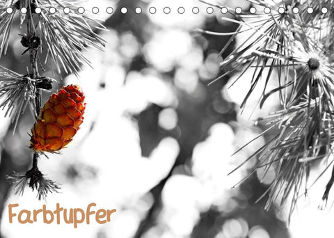 Farbtupfer (Tischkalender 2022 DIN A5 quer)