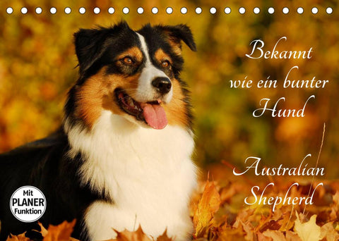 Bekannt wie ein bunter Hund. Australian Shepherd (Tischkalender 2022 DIN A5 quer)