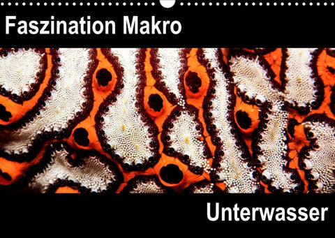 Faszination Makro UnterwasserCH-Version (Wandkalender 2022 DIN A3 quer)