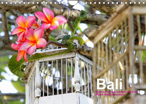 Bali (Wandkalender 2022 DIN A4 quer)