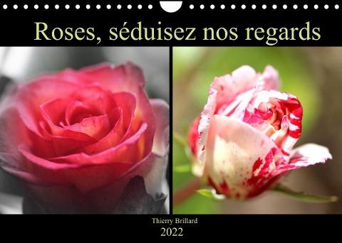 Roses, séduisez nos regards (Calendrier mural 2022 DIN A4 horizontal)