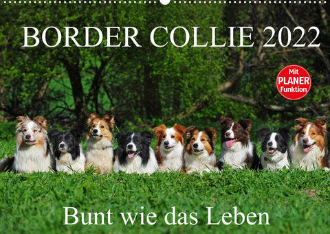 Border Collie 2022 (Wandkalender 2022 DIN A2 quer)