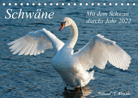 Mit dem Schwan durchs Jahr 2022 (Tischkalender 2022 DIN A5 quer)