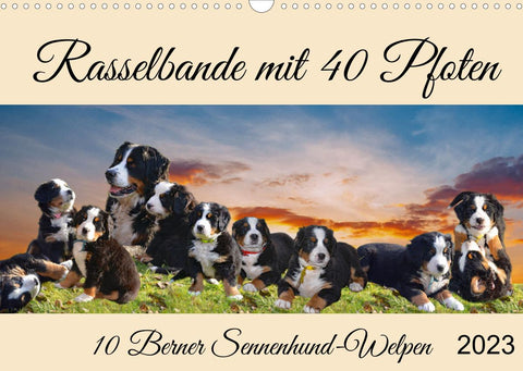 Rasselbande mit 40 Pfoten (Wandkalender 2022 DIN A3 quer)