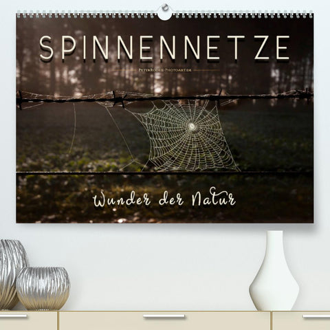 Spinnennetze - Wunder der Natur (Premium, hochwertiger DIN A2 Wandkalender 2022, Kunstdruck in Hochglanz)