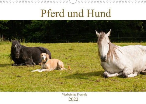 Pferd und Hund - Vierbeinige Freunde (Wandkalender 2022 DIN A3 quer)
