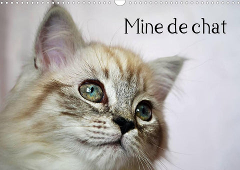 Mine de chat (Calendrier mural 2022 DIN A3 horizontal)