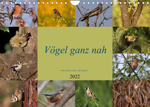 Vögel ganz nah (Wandkalender 2022 DIN A4 quer)