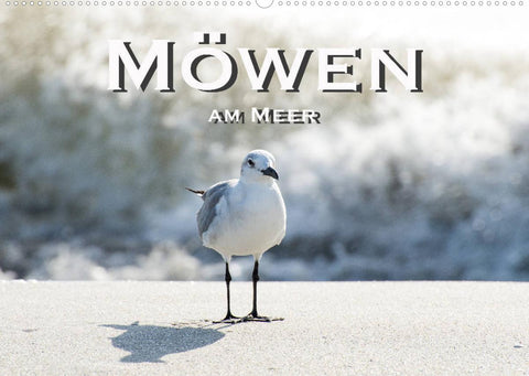 Möwen am Meer (Wandkalender 2022 DIN A2 quer)