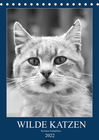 Wilde Katzen - Korsikas Samtpfoten (Tischkalender 2022 DIN A5 hoch)