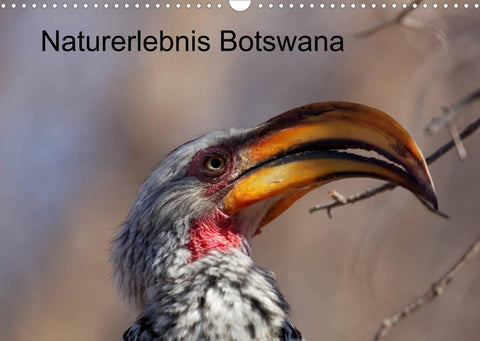 Naturerlebnis Botswana (Wandkalender 2022 DIN A3 quer)