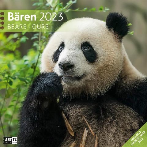 Bären Kalender 2023 - 30x30