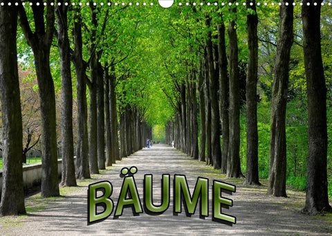 Bäume 2022 (Wandkalender 2022 DIN A3 quer)