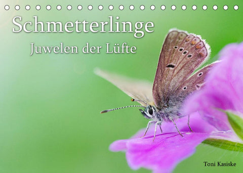 Schmetterlinge - Juwelen der Lüfte (Tischkalender 2022 DIN A5 quer)