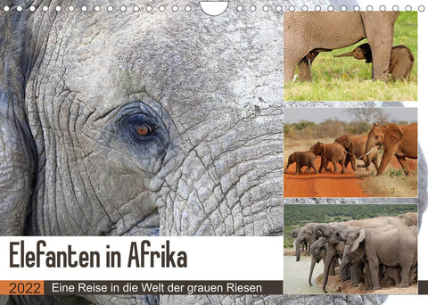 Elefanten in Afrika (Wandkalender 2022 DIN A4 quer)
