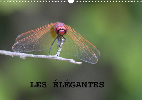 Les élégantes (Calendrier mural 2022 DIN A3 horizontal)