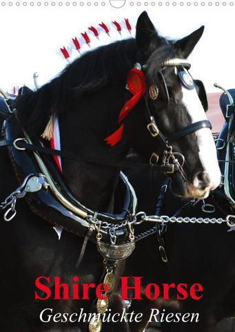 Shire Horse - Geschmückte Riesen (Wandkalender 2022 DIN A3 hoch)