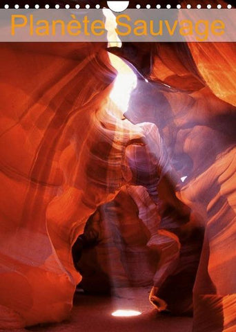 Planète Sauvage (Calendrier mural 2022 DIN A4 vertical)