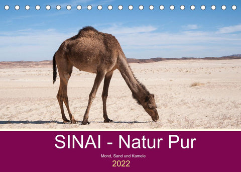 Sinai - Natur Pur (Tischkalender 2022 DIN A5 quer)